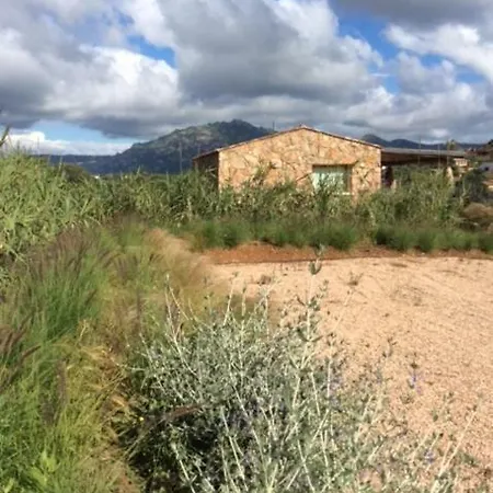 Villetta Among The Olive Trees *