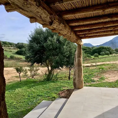 Villetta Among The Olive Trees