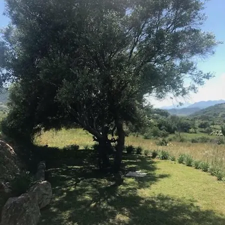 Villetta Among The Olive Trees