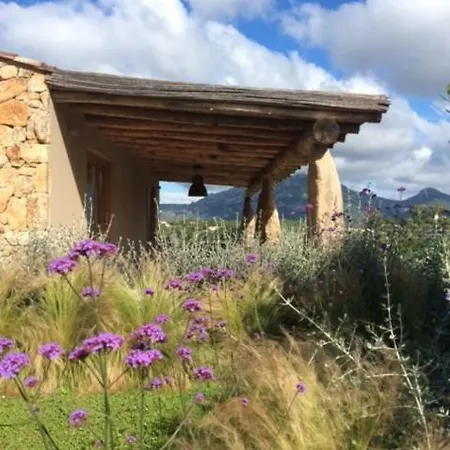 Villetta Among The Olive Trees